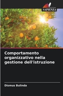 Comportamento organizzativo nella gestione dell'istruzione