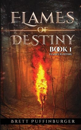 Flames of Destiny Book 1