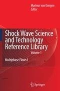 Shock Wave Science and Technology Reference Library 1