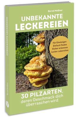 Unbekannte Leckereien: 30 Pilzarten, deren Geschmack dich überraschen wird