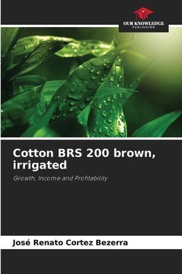 Cotton BRS 200 brown, irrigated