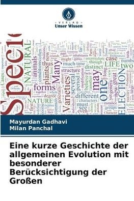 Eine kurze Geschichte der allgemeinen Evolution mit besonderer Berücksichtigung der Großen