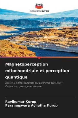 Magnétoperception mitochondriale et perception quantique