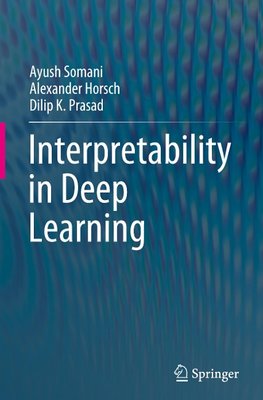 Interpretability in Deep Learning