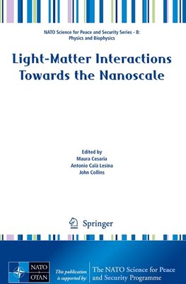 Light-Matter Interactions Towards the Nanoscale