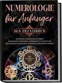 Numerologie für Anfänger - Das Praxisbuch: Wie Sie mit Lebenszahlen Ihren Charakter verstehen, verborgene Talente und Begabungen entdecken und Ihrem Lebensweg folgen | inkl. Seelenkur-Plan