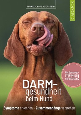 Darmgesundheit beim Hund