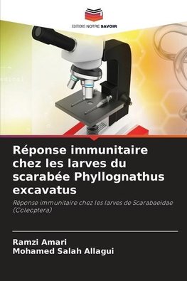 Réponse immunitaire chez les larves du scarabée Phyllognathus excavatus