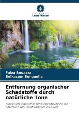 Entfernung organischer Schadstoffe durch natürliche Tone