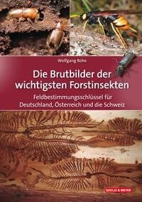 Die Brutbilder der wichtigsten Forstinsekten