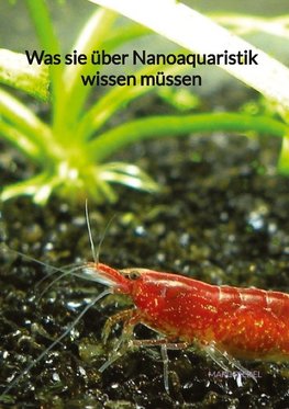 Was sie über Nanoaquaristik wissen müssen