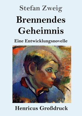 Brennendes Geheimnis (Großdruck)