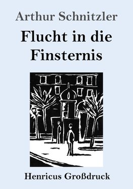 Flucht in die Finsternis (Großdruck)