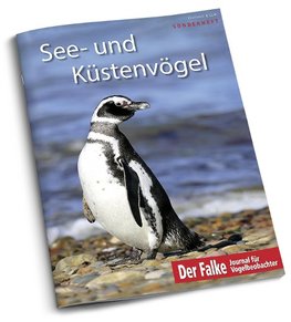 See- und Küstenvögel