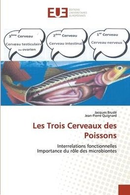 Les Trois Cerveaux des Poissons