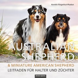 Australian Shepherd & Miniature American Shepherd