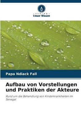 Aufbau von Vorstellungen und Praktiken der Akteure