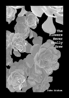 The Flowers Never Really Grew