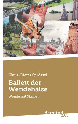 Ballett der Wendehälse