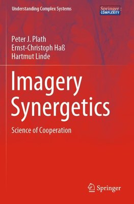 Imagery Synergetics