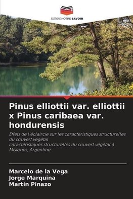 Pinus elliottii var. elliottii x Pinus caribaea var. hondurensis