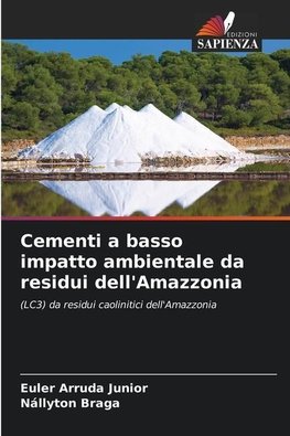 Cementi a basso impatto ambientale da residui dell'Amazzonia