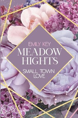 Meadow Hights: Small Town Love