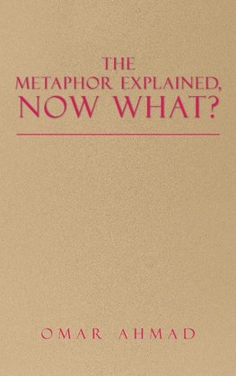 The Metaphor Explained, Now What?