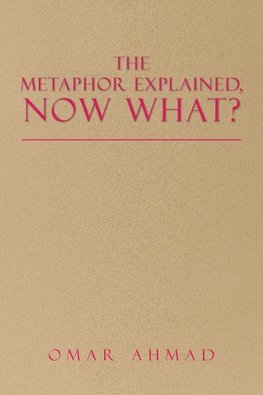 The Metaphor Explained, Now What?