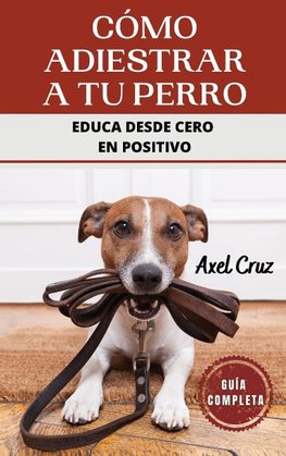 Cómo Adiestrar a tu Perro