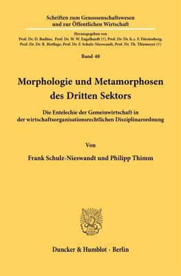 Morphologie und Metamorphosen des Dritten Sektors.