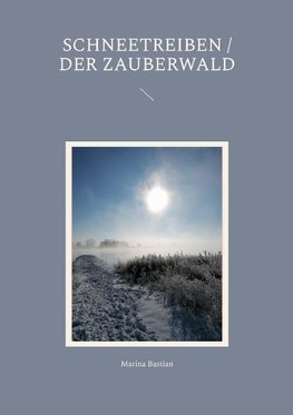 Schneetreiben / Der Zauberwald