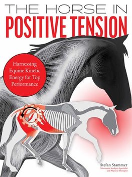 The Horse in Positive Tension