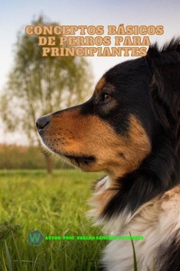 Conceptos básicos de perros para principiantes