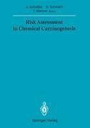 Risk Assessment in Chemical Carcinogenesis