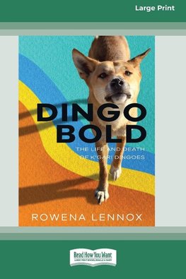 Dingo Bold