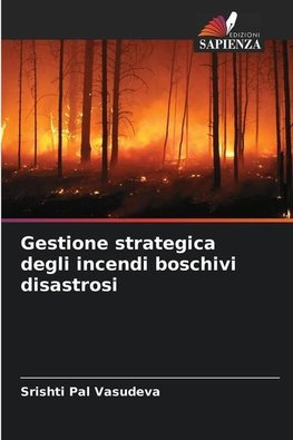 Gestione strategica degli incendi boschivi disastrosi