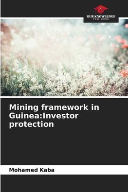 Mining framework in Guinea:Investor protection