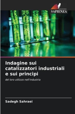 Indagine sui catalizzatori industriali e sui principi