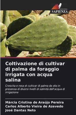 Coltivazione di cultivar di palma da foraggio irrigata con acqua salina