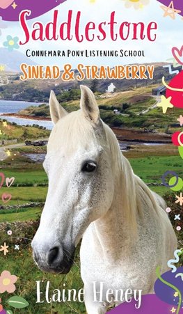 Saddlestone Connemara Pony Listening School | Sinead and Strawberry