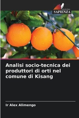 Analisi socio-tecnica dei produttori di orti nel comune di Kisang