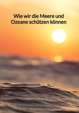 Wie wir die Meere und Ozeane schützen können