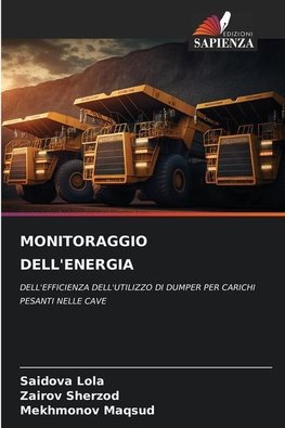 MONITORAGGIO DELL'ENERGIA