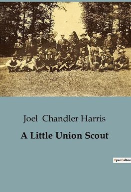 A Little Union Scout