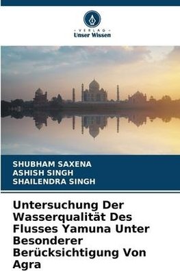 Untersuchung Der Wasserqualität Des Flusses Yamuna Unter Besonderer Berücksichtigung Von Agra