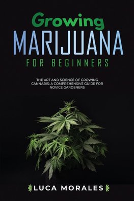 Growing Marijuana for Beginners