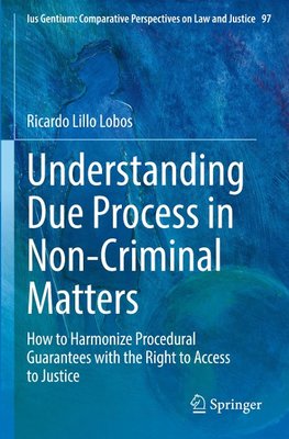 Understanding Due Process in Non-Criminal Matters