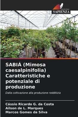 SABIÁ (Mimosa caesalpinifolia) Caratteristiche e potenziale di produzione