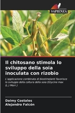 Il chitosano stimola lo sviluppo della soia inoculata con rizobio